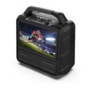 Portable Entertainment System